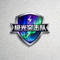 极光突击队战队Logo