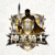 神圣骑士战队Logo